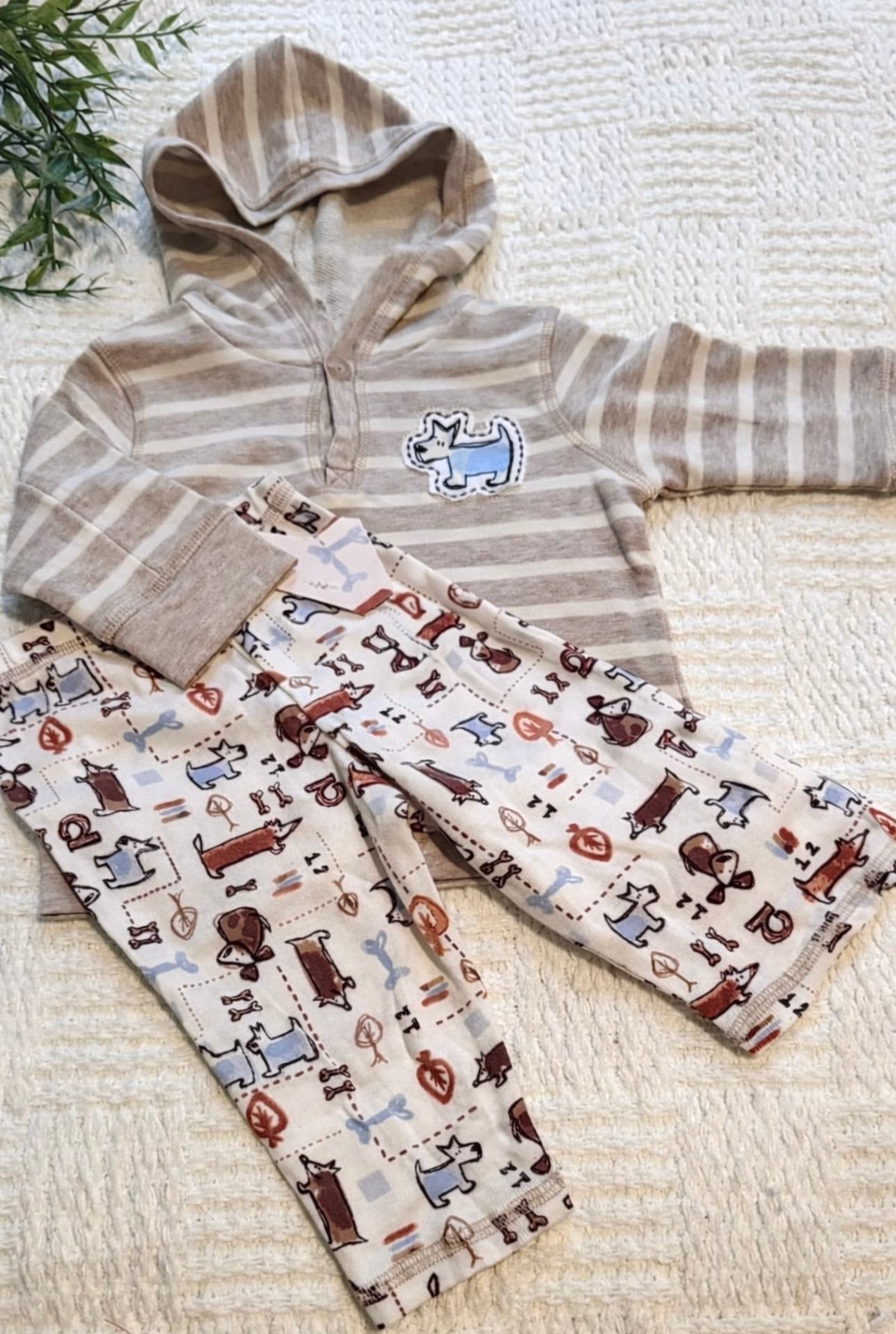 Puppies - Boys 2 pc Lounge Set